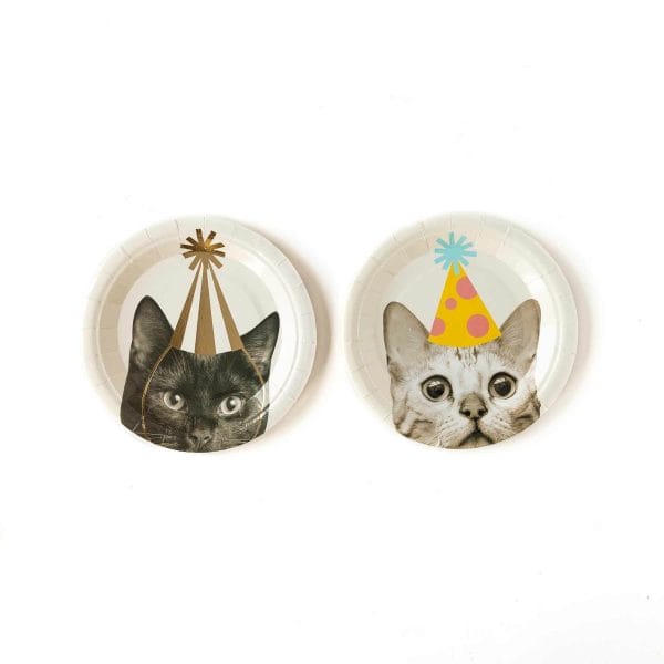 Cat party plates - come get them at Just Peachy in Little Rock.